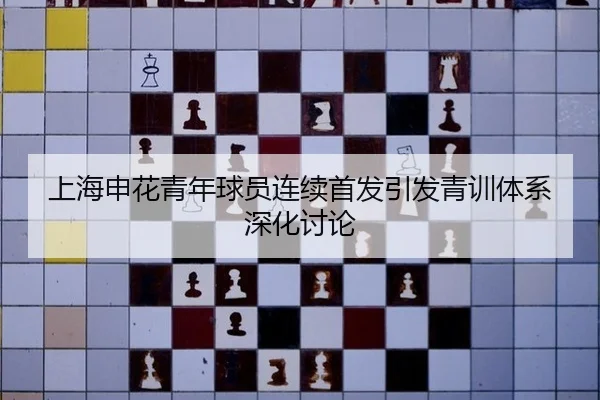 shang-hai-shen-hua-qing-nian-qiu-yuan-lian-xu-shou-fa-yin-fa-qing-xun-ti-xi-shen-hua-tao-lun-2-436.jpg