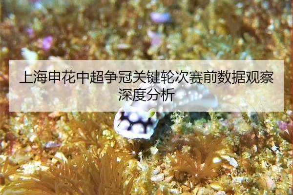 shang-hai-shen-hua-zhong-chao-zheng-guan-guan-jian-lun-ci-sai-qian-shu-ju-guan-cha-shen-du-fen-xi-2-523.jpg