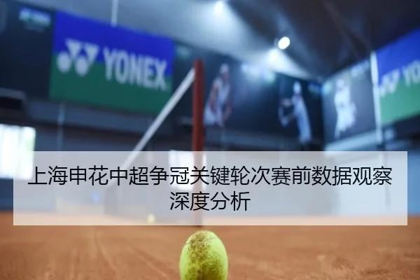 上海申花中超争冠关键轮次赛前数据观察深度分析